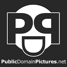 PublicDomainPictures Review