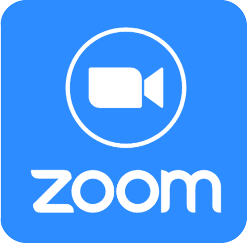 Zoom Review