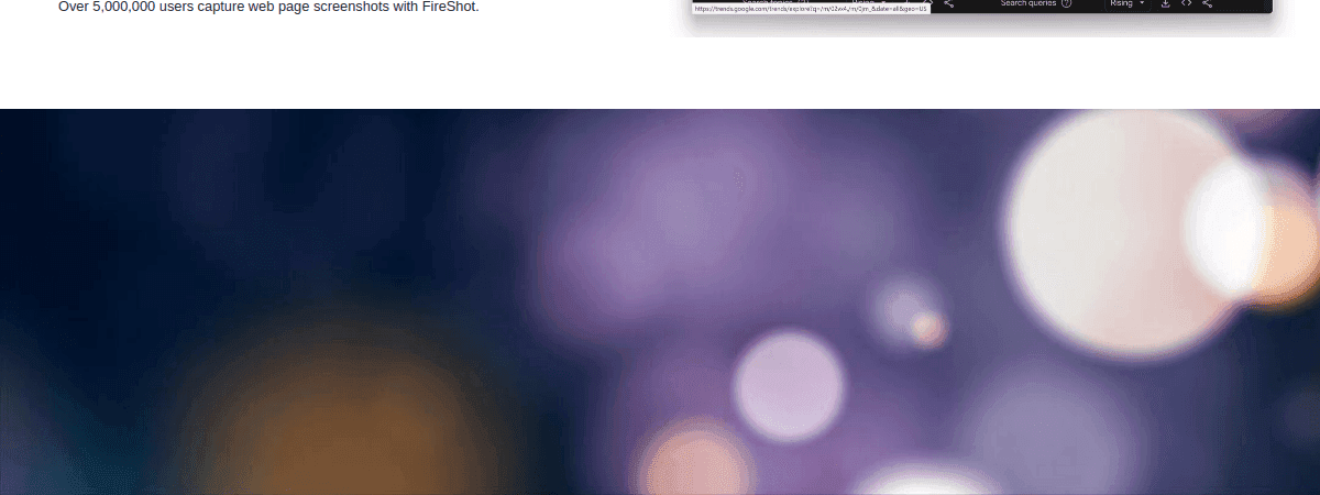 Fireshot thumbnail 2