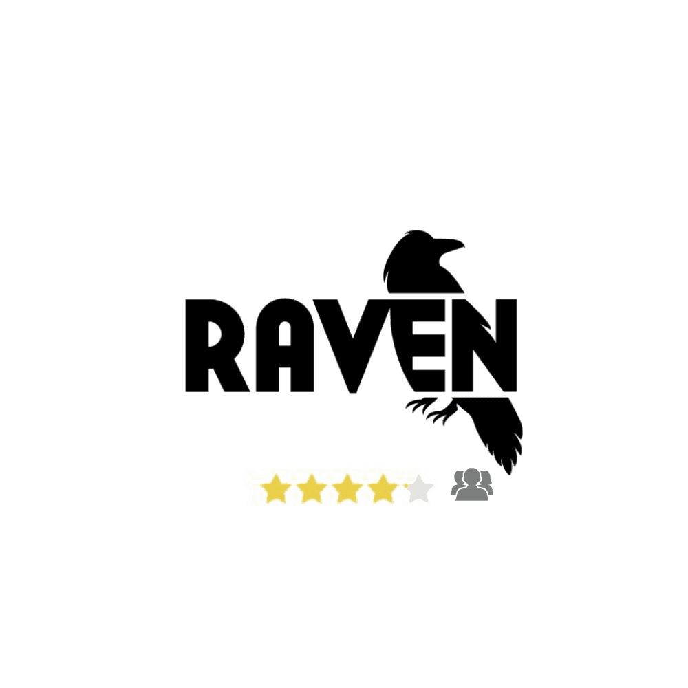 RavenTools Review