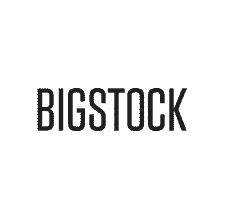 BigStockPhoto Review