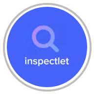Inspectlet Review