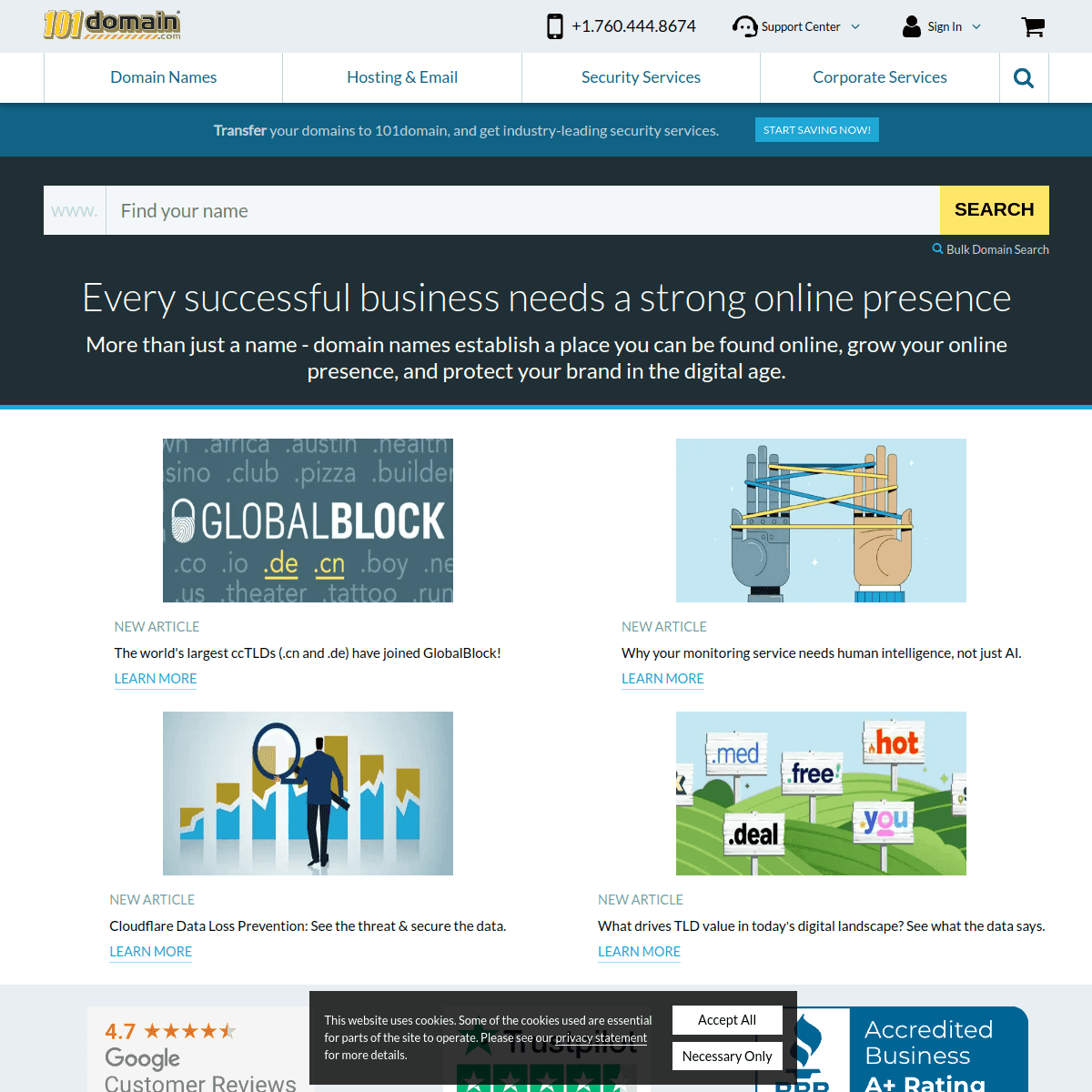 101Domain screenshot 1