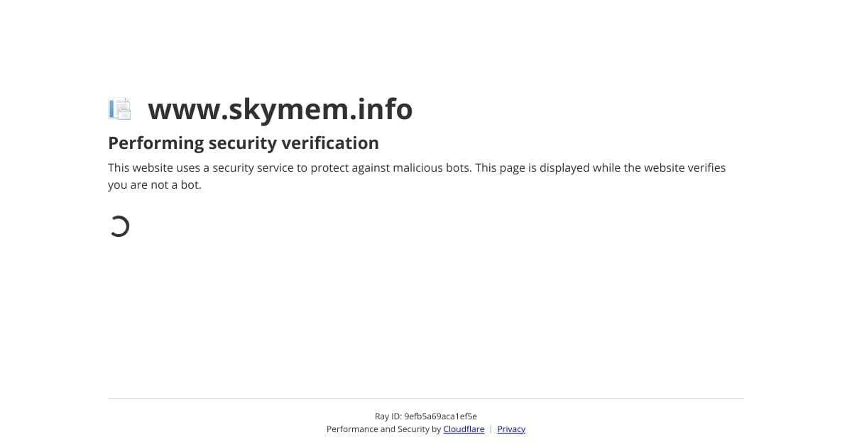 Skymem screenshot 1