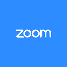 Zoom Webinars Review