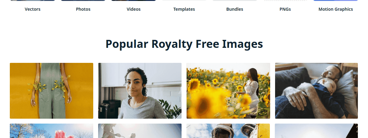 Vecteezy thumbnail 2