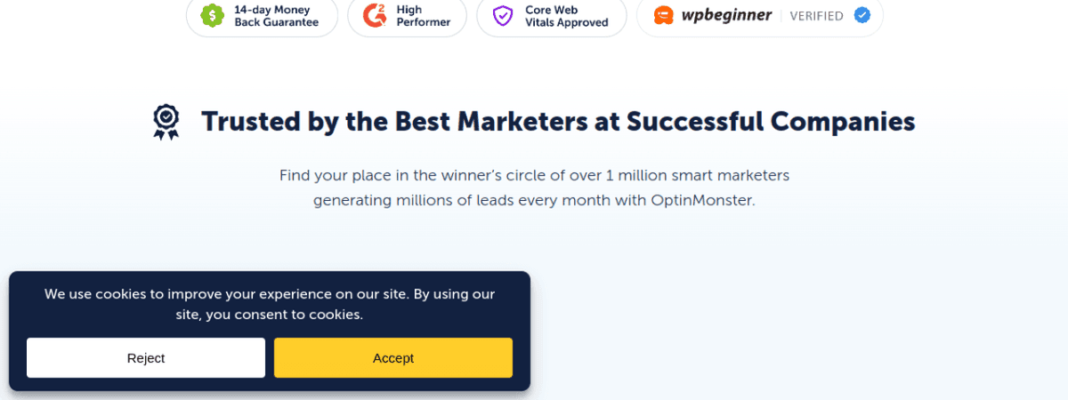 OptinMonster thumbnail 2