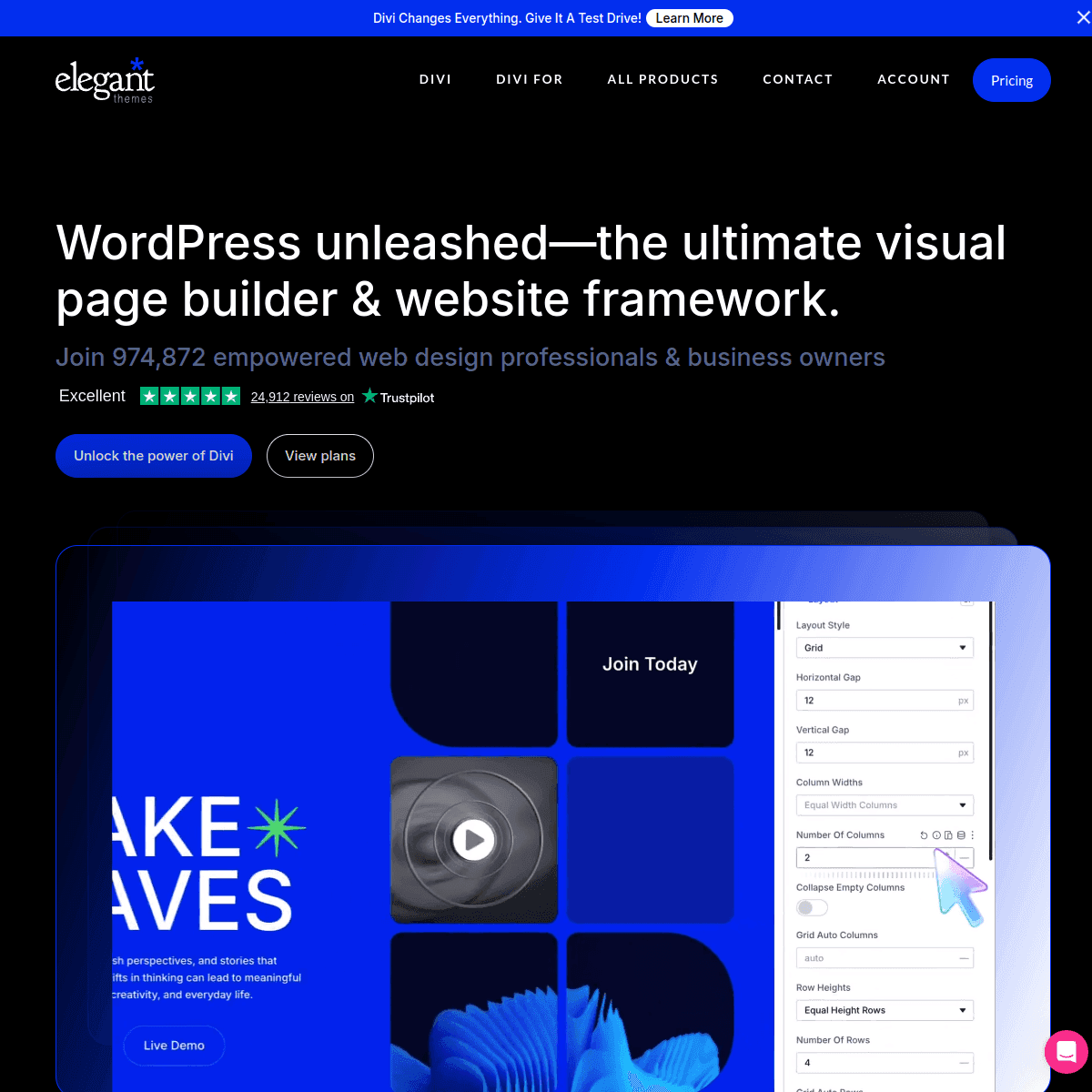 ElegantThemes screenshot 1